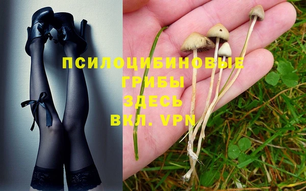 ПСИЛОЦИБИНОВЫЕ ГРИБЫ Армянск