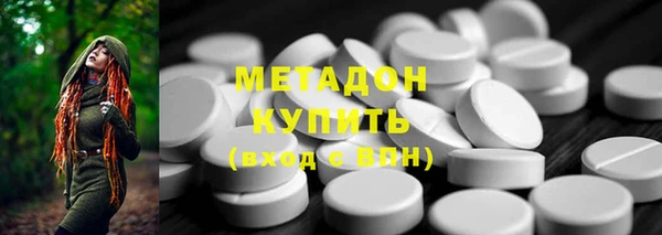 прущие грибы Арсеньев