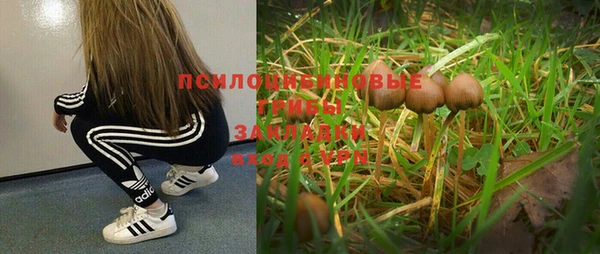 ПСИЛОЦИБИНОВЫЕ ГРИБЫ Армянск