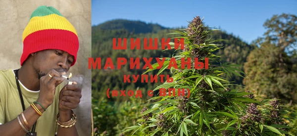 прущие грибы Арсеньев