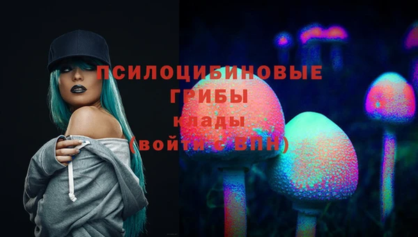 прущие грибы Арсеньев